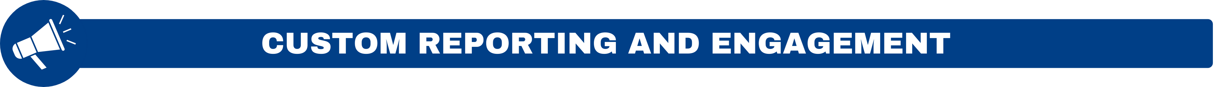 Custom Reporting and Engagement