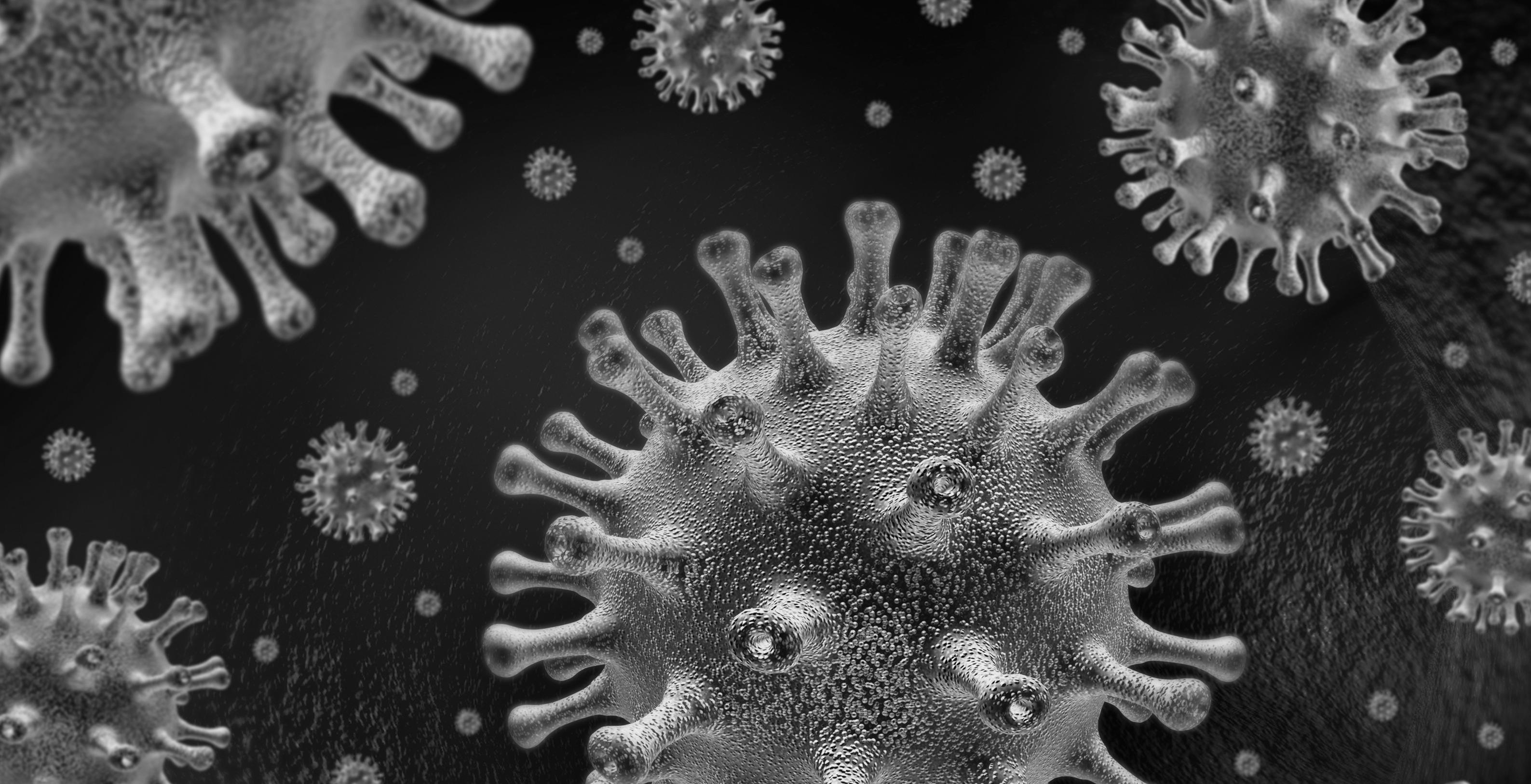 Image of the COVID-19 or coronavirus